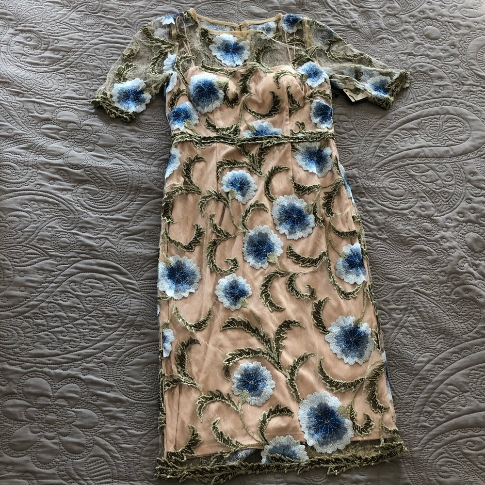 Never Worn Adrianna Papell Dress